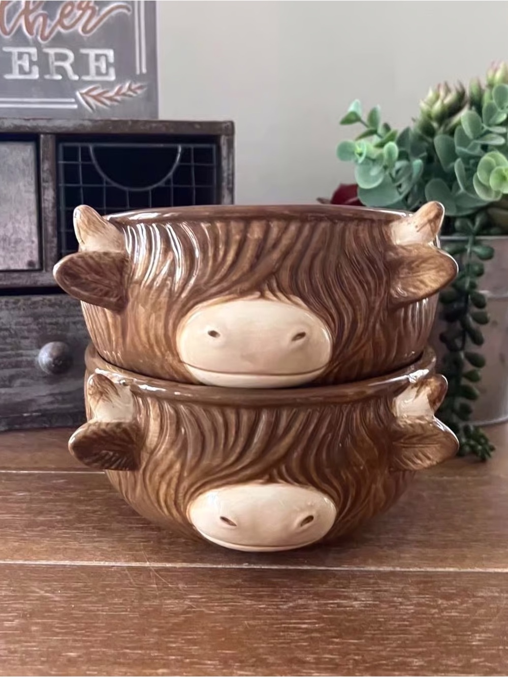 2 New Boho Farmhouse Highland Cow Ceramic Bowls